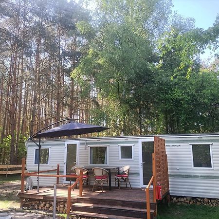 Tinyhaus Idyllisch Am Waldesrand Hotel Котбус Екстериор снимка
